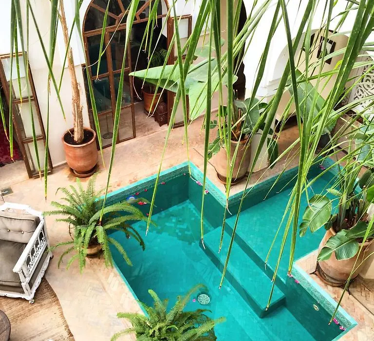 Riad Palacio De Las Especias-1