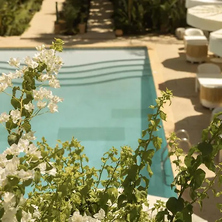 Les Palmiers Boutique Hôtel&Spa-3