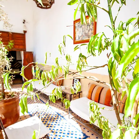 Hotel & Spa Riad Dar El Aila-2