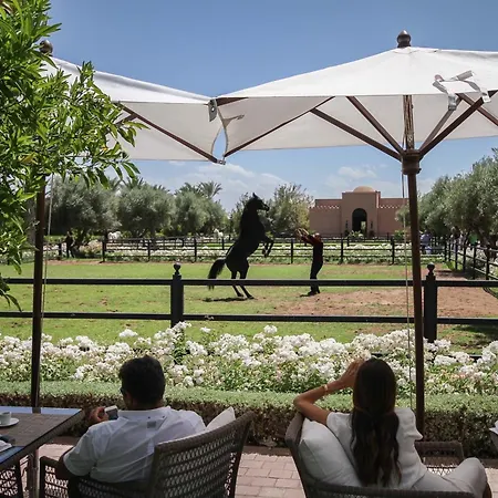 Selman Marrakech-2
